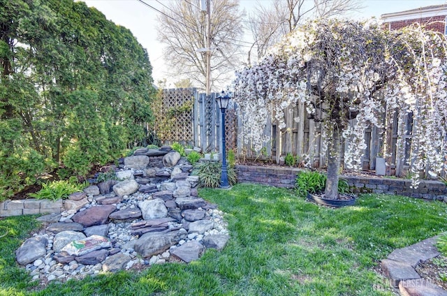 view of yard