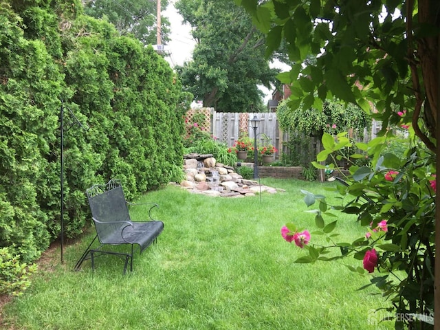 view of yard