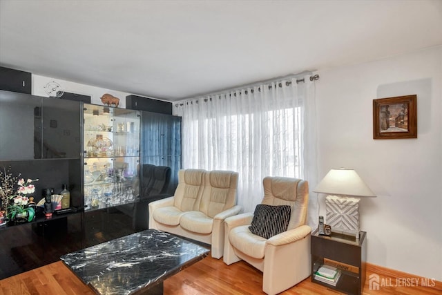 sitting room featuring wood finished floors