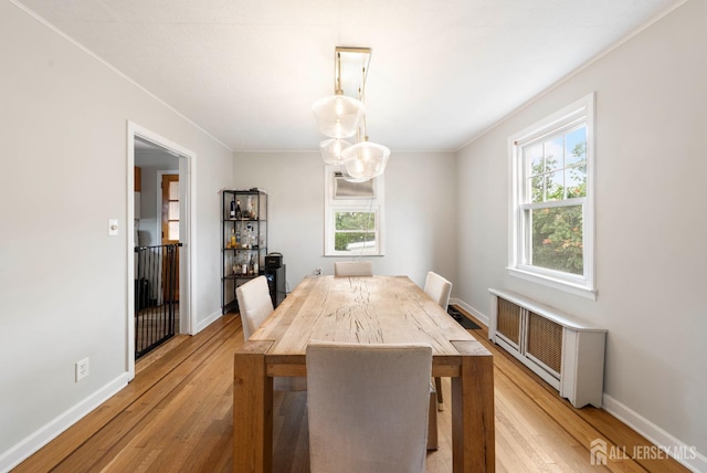 28 Johnson Pl, South River, NJ 08882 - photo 7