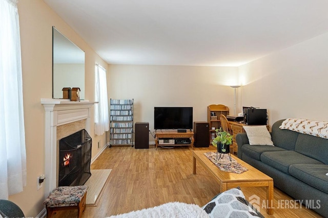 living room with light hardwood / wood-style floors