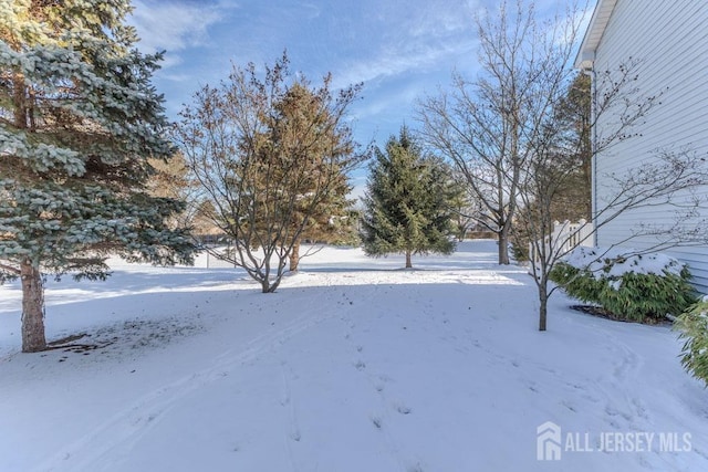 view of yard layered in snow