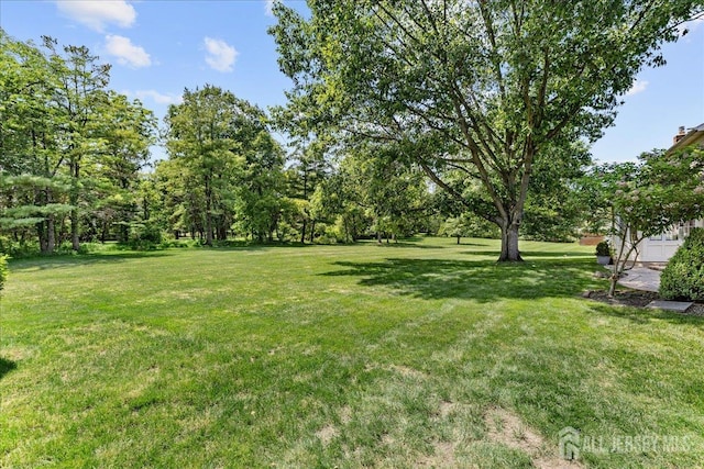 201 Carol Jean Way, Branchburg, NJ 08876 - photo 31