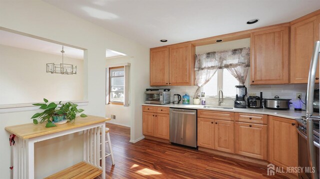 kitchen featuring backsplash, stainless steel appliances, a sink, and light countertops