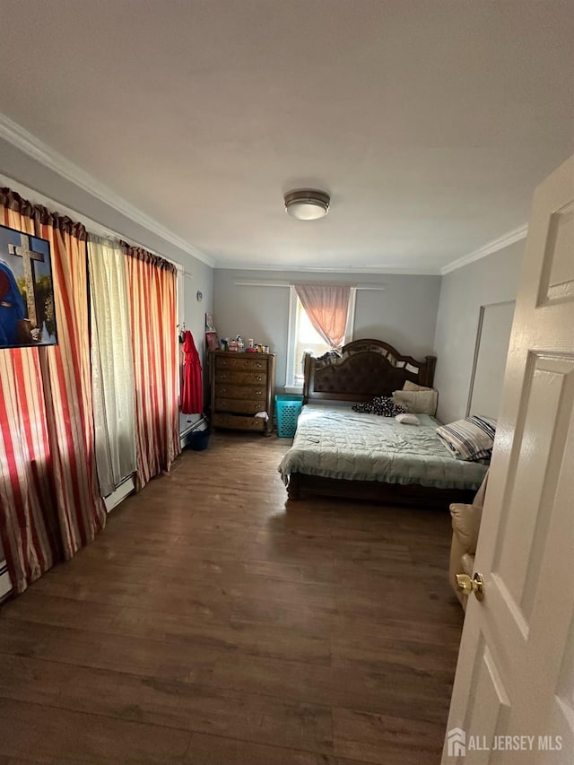262 Hale St, New Brunswick, NJ 08901 - bedroom with wood finished floors and ornamental molding