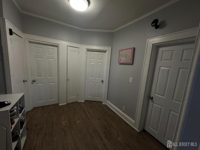 262 Hale St, New Brunswick, NJ 08901 - corridor with ornamental molding, dark wood finished floors, and baseboards