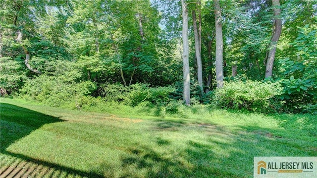1 Whitehall Rd, Monroe, NJ 08831 - photo 25