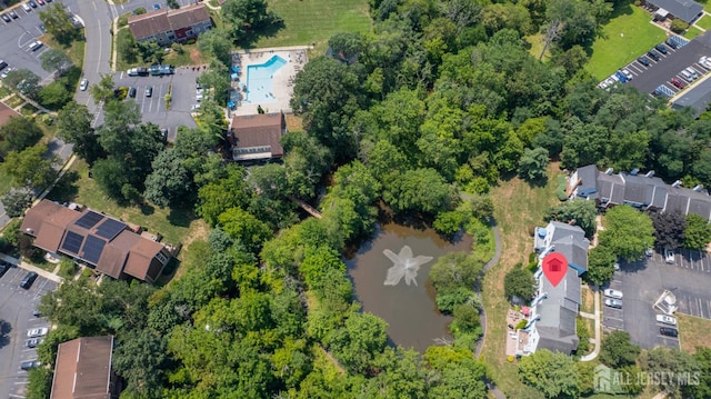6 Pond Ct, Hillsborough, NJ 08844 - photo 26