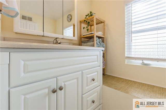 bathroom with a wealth of natural light and vanity