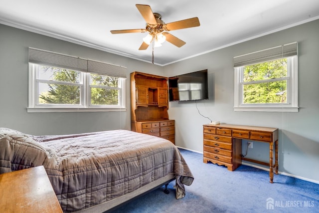 24 Christopher Ave, South Brunswick, NJ 08824 - bedroom with carpet, multiple windows, crown molding, ceiling fan, and baseboards