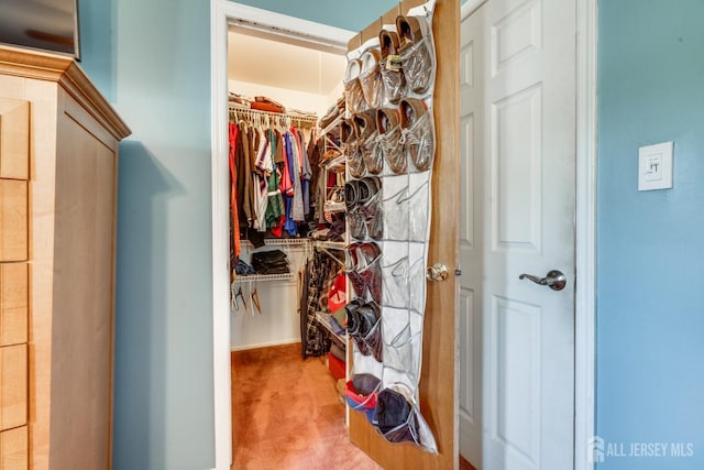24 Christopher Ave, South Brunswick, NJ 08824 - walk in closet featuring carpet floors
