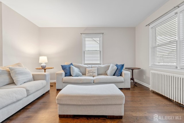 living room with dark hardwood / wood-style flooring and radiator heating unit