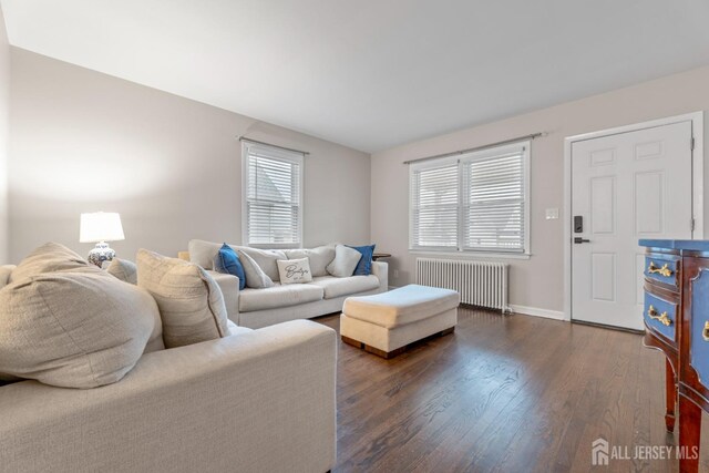 living room featuring dark hardwood / wood-style floors and radiator