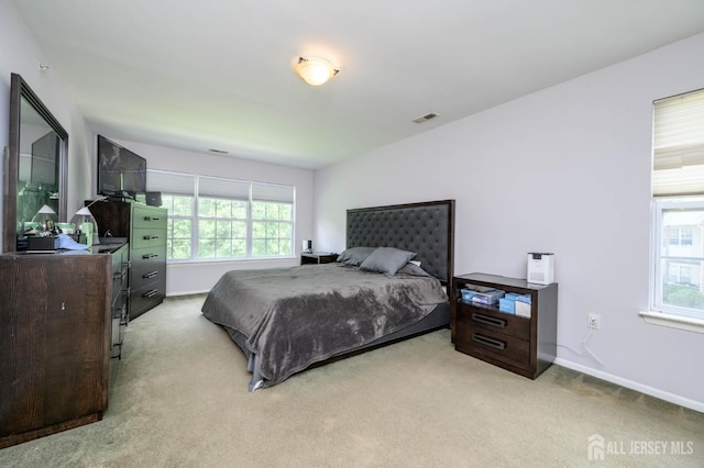 219 Vasser Dr, Piscataway, NJ 08854 - bedroom featuring light carpet and baseboards