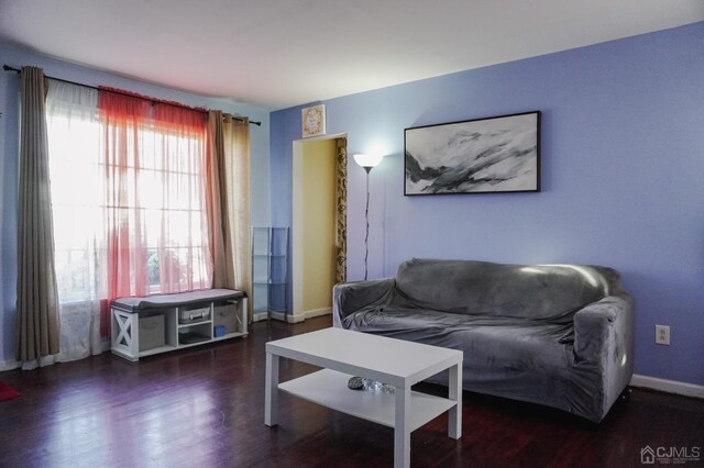 living room with dark wood-type flooring