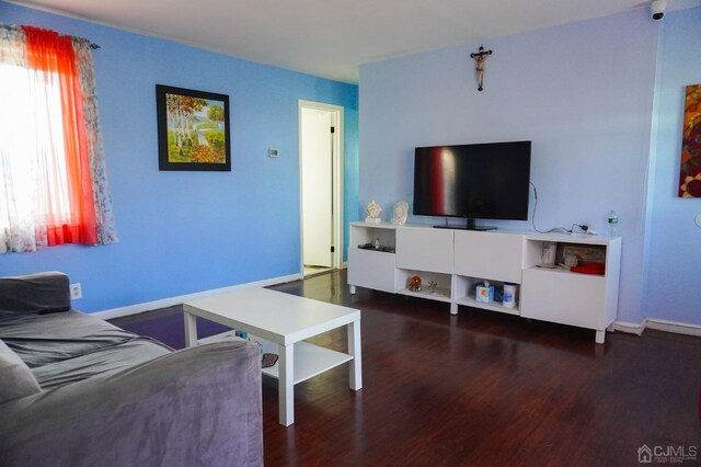 living room with dark hardwood / wood-style flooring