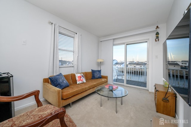 111 E Shrewsbury Dr E, Little Egg Harbor, NJ 08087 - living area with carpet