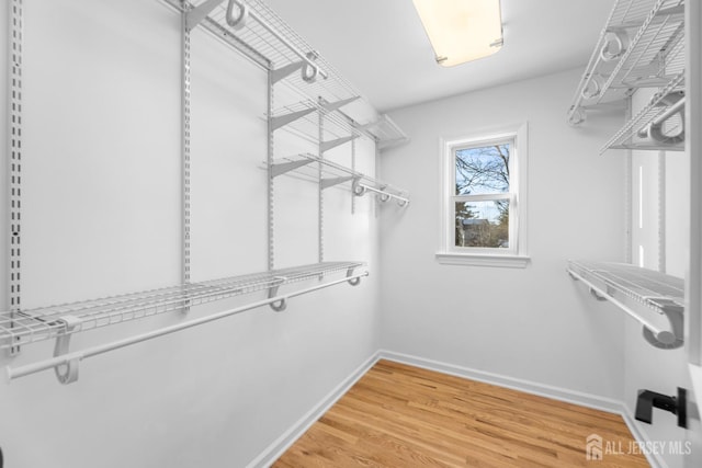 walk in closet featuring hardwood / wood-style flooring