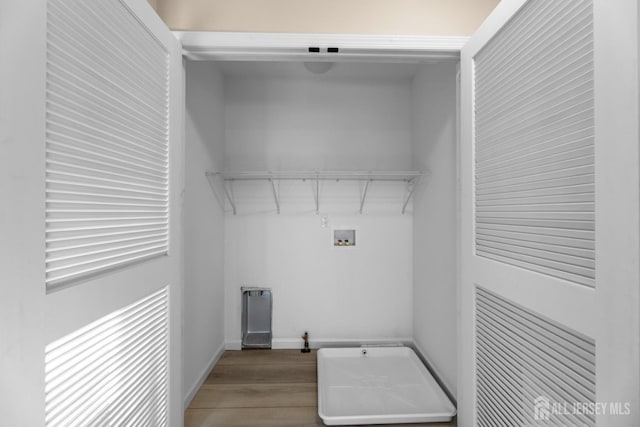 laundry area featuring washer hookup and light wood-type flooring