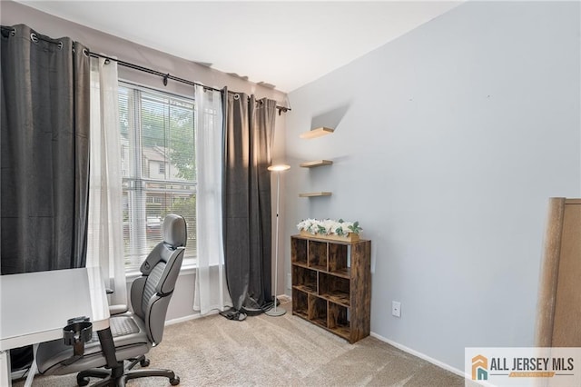 4301 Bayberry Ct, Middlesex, NJ 08852 - office featuring light colored carpet