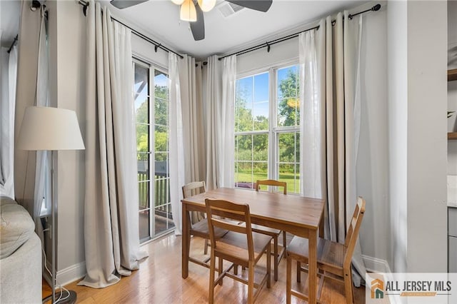 4301 Bayberry Ct, Middlesex, NJ 08852 - dining room featuring healthy amount of natural light, a ceiling fan, and light wood-type flooring