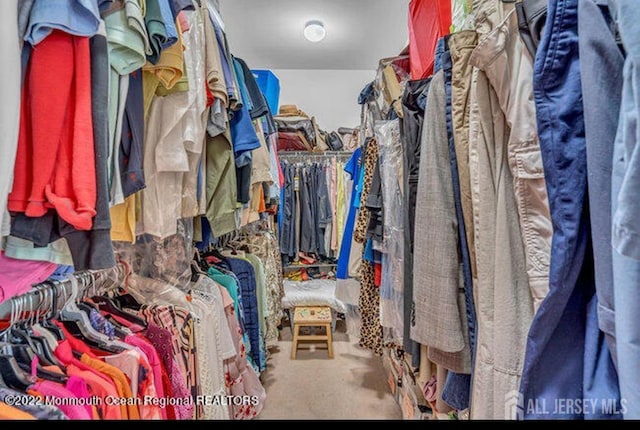 view of spacious closet