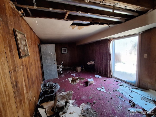 miscellaneous room featuring wood walls and carpet