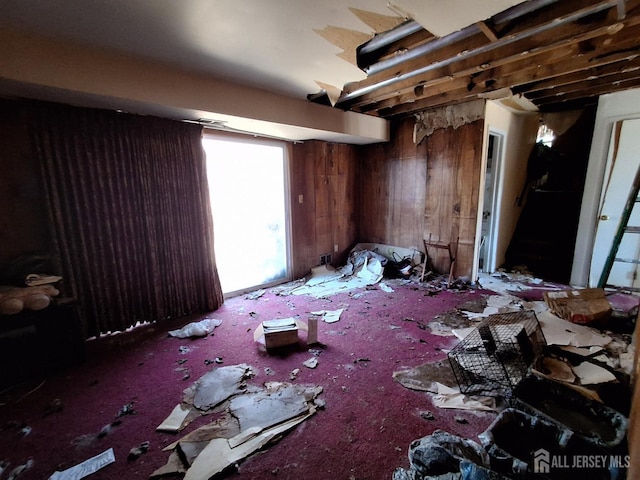 miscellaneous room featuring wooden walls and carpet floors