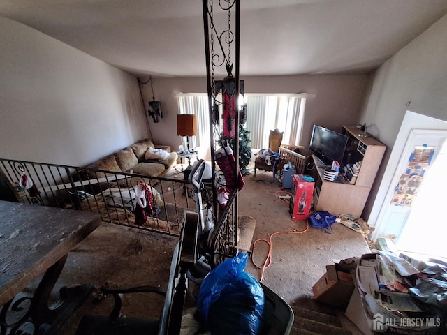 living room featuring carpet