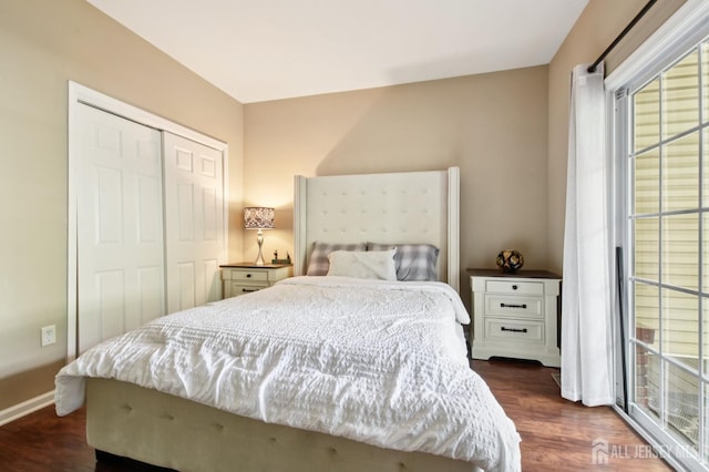179 Sunshine Dr, Piscataway, NJ 08854 - bedroom with multiple windows, dark wood-style floors, and a closet