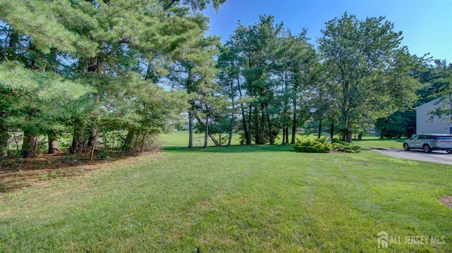23 Morgan Pl E, Brunswick, NJ 08816 - photo 25