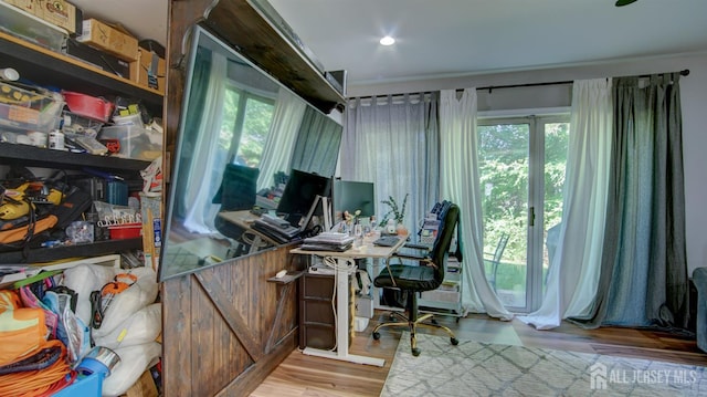 23 Morgan Pl E, Brunswick, NJ 08816 - photo 13