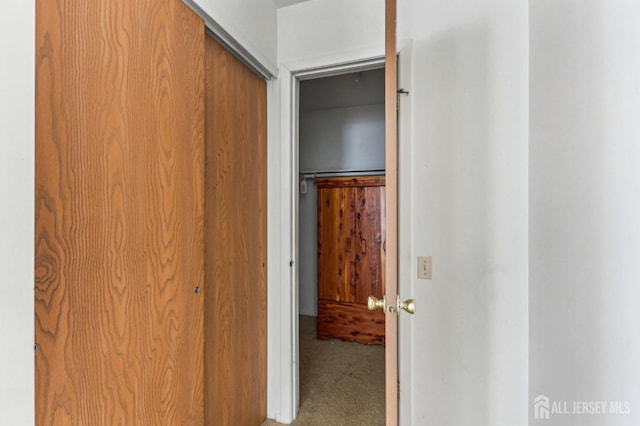 hallway with carpet