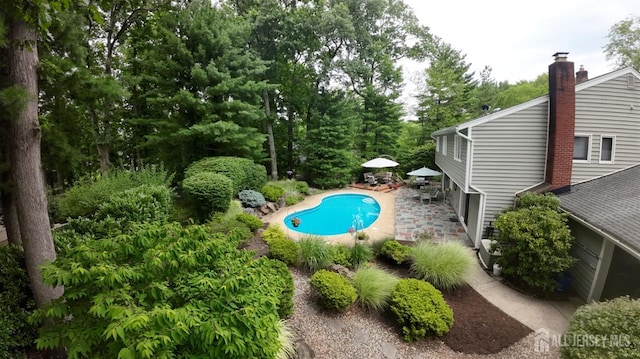 view of swimming pool with a patio area