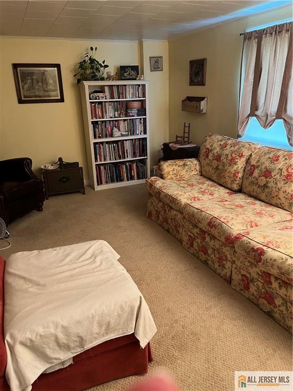 107 Readington Rd, Readington, NJ 08889 - bedroom featuring carpet flooring
