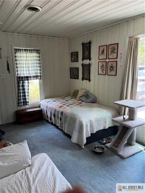 107 Readington Rd, Readington, NJ 08889 - bedroom with carpet