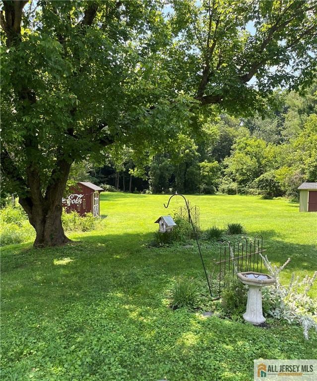 107 Readington Rd, Readington, NJ 08889 - view of grassy yard featuring a storage unit