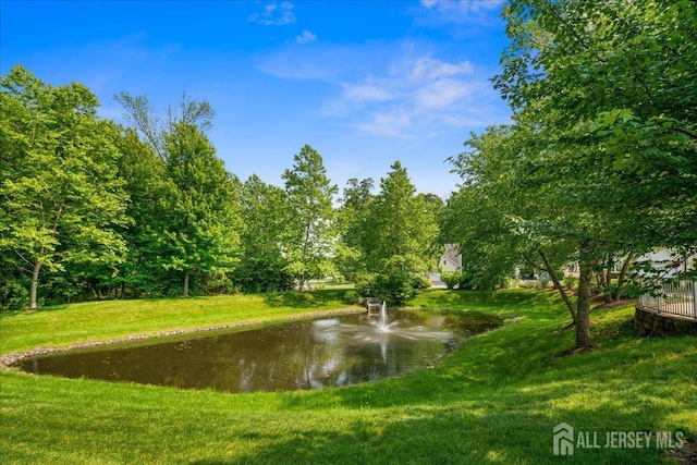 4 Bellingham Dr, South Brunswick, NJ 08824 - photo 53