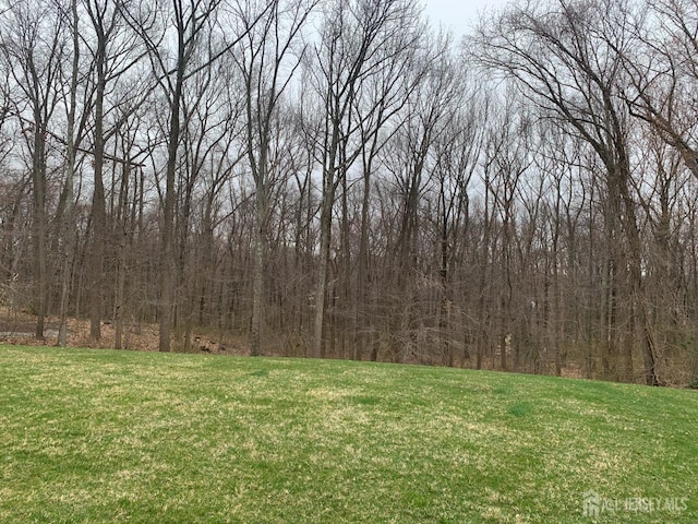 view of yard featuring a forest view