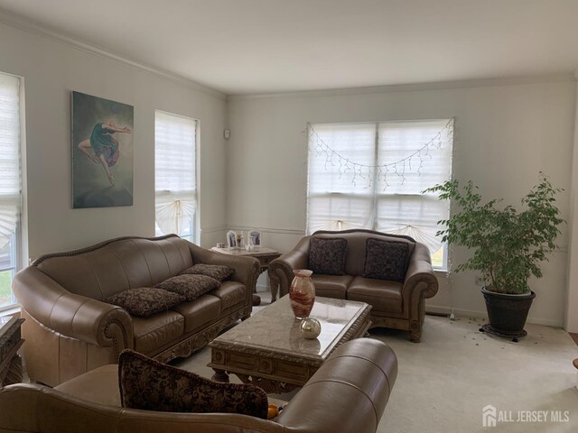 living room featuring carpet floors and crown molding