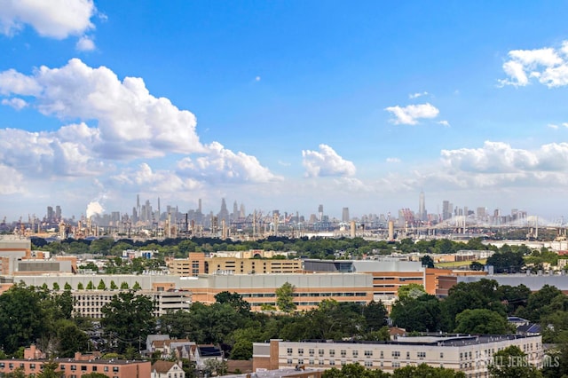 1 Carriage City Plz Unit 509, Rahway, NJ 07065 - skyline view