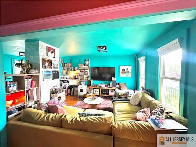 21 Alexander St, New Brunswick, NJ 08901 - view of living room