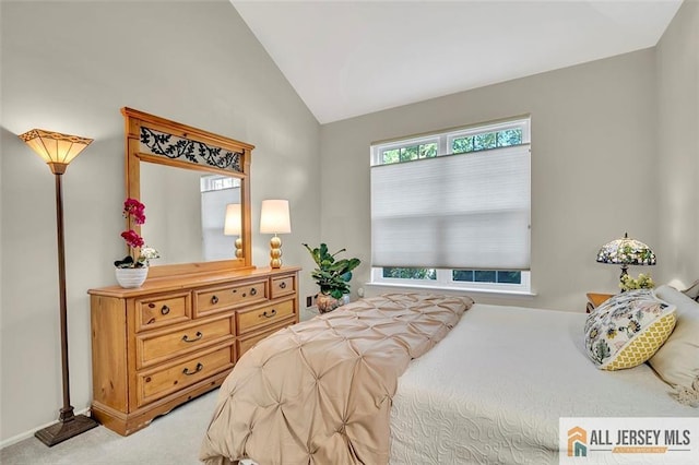 7011 Elm Ct, South Brunswick, NJ 08852 - photo 23