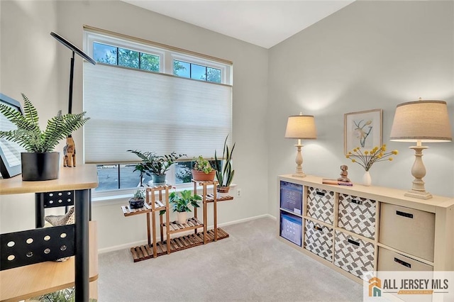 7011 Elm Ct, South Brunswick, NJ 08852 - photo 26