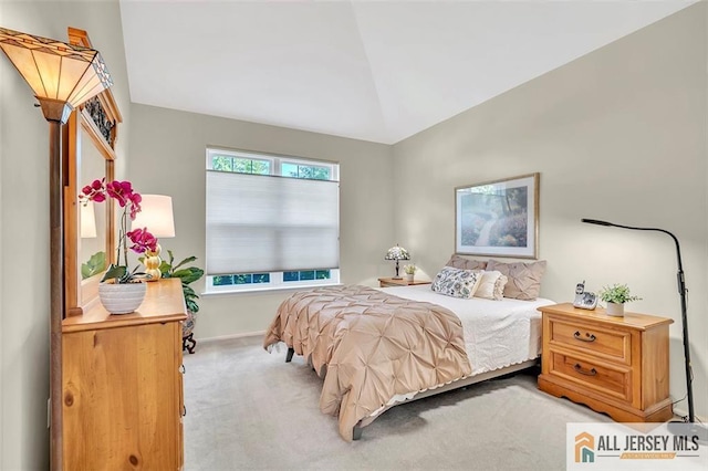 7011 Elm Ct, South Brunswick, NJ 08852 - photo 22