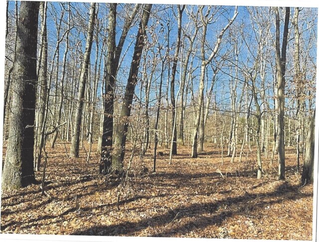 2 Fernwood Dr, South Brunswick, NJ 08540 - photo 4