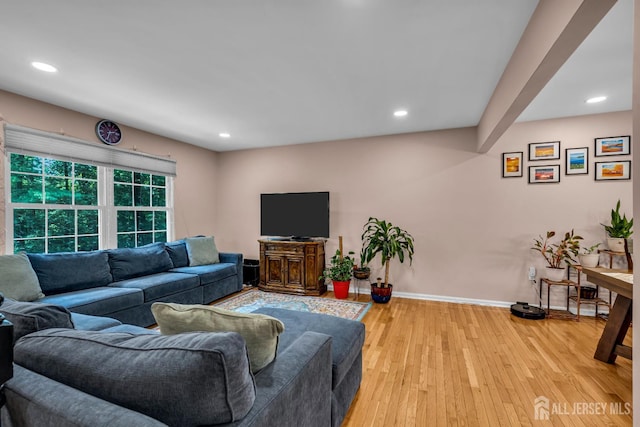 230 New Rd, South Brunswick, NJ 08852 - living room featuring light wood-type flooring and recessed lighting