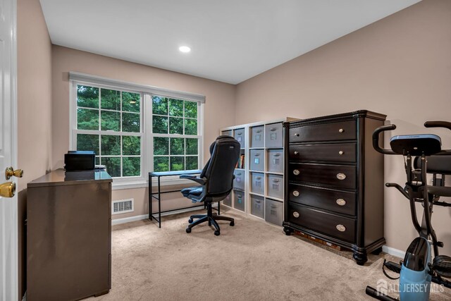 230 New Rd, South Brunswick, NJ 08852 - office space featuring light carpet and baseboards