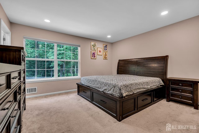 230 New Rd, South Brunswick, NJ 08852 - bedroom featuring light colored carpet and recessed lighting