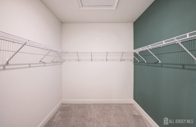 spacious closet featuring carpet flooring